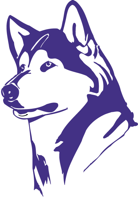 Washington Huskies 1995-2000 Partial Logo v2 diy iron on heat transfer